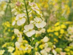 -中国天府农业博览园