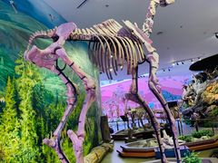 -陕西自然博物馆