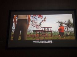 -纯粹医美
