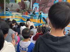 -海合安成都极地海洋公园