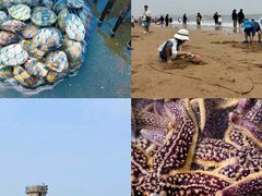 -日照灯塔风景区