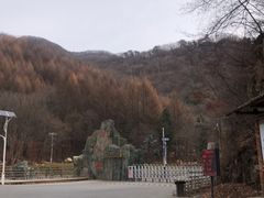-本溪汤沟绿石谷森林公园