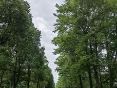 -洋湖国家湿地公园