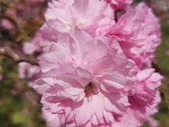 -同济大学(嘉定校区)