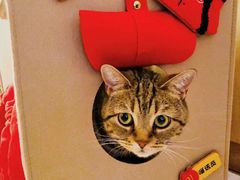 -麦当劳(东石东一路店)