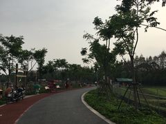 -上海长兴岛郊野公园