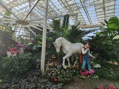 -石家庄市植物园