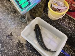 -江南鱼捞(北仑银泰城店)