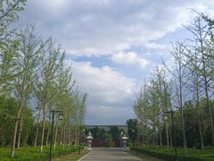 -洛阳古墓博物馆