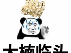 -陕西师范大学(雁塔校区)