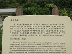 -南丫岛