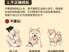 -美联众合动物医院·24h转诊中心