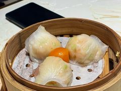 -点都德·毕德寮