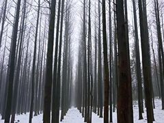 -山王坪喀斯特国家生态公园