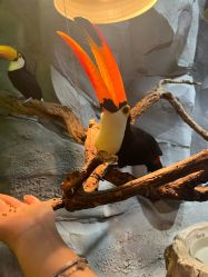 -Zoolung Zoolung动物主题公园(海信广场店)