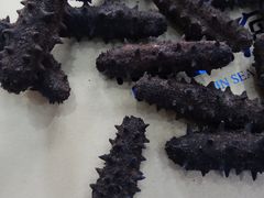 -宫品海参专卖店(黄浦老西门店)