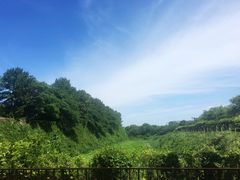 -名古屋城