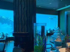-海棠湾洲际-涛·海底餐厅·美人鱼·自助餐·海底隧道