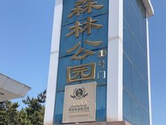 -日照海滨国家森林公园