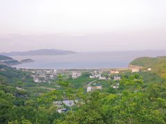 -花岙岛