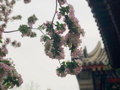 -恭王府博物馆