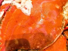 -北塘海鲜·天津菜(大光明桥旗舰店)