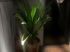 -霖公馆SPA·足道(普善路店)