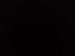 -珠梅土鸡(娄底市娄星区煤炭局东)