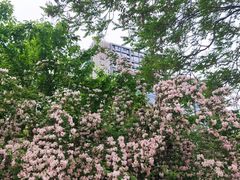 -金宫殿故址