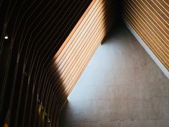 -中国艺术研究院油画院
