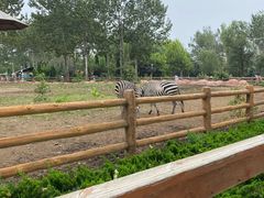 -大连森林动物园