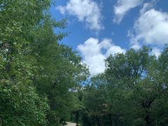 -北京西山国家森林公园