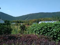 android_upload_pic-旺山景区