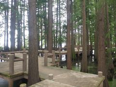-东湖落雁景区