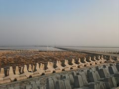 -南汇嘴观海公园