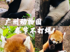 -广州动物园