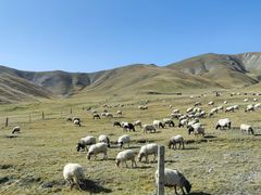 -青海湖国家重点风景名胜区