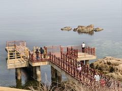 -养马岛旅游度假区