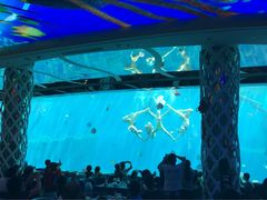 景观位-瑞德姆美人鱼海底演艺主题餐厅(亚龙湾店)