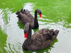 -瑞博尔花园酒店(太周创新产业园店)