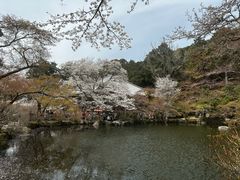 -醍醐寺