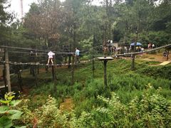 -梦幻奥陶纪景区