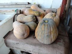 -乡乐园蟹庄·阳澄湖农家乐