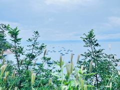 -抚仙湖禄充风景区