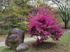 -上海共青森林公园