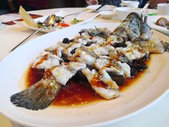 古法蒸老虎斑-利苑酒家(金宝店)