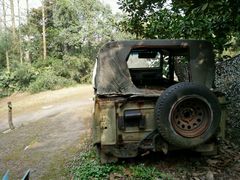 -滨江森林公园-真人CS野战场