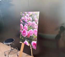-程Studio