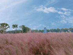 -花博汇(知音花月夜)