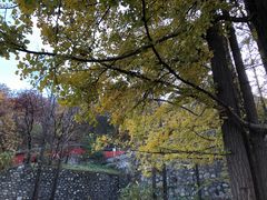 -阳台山自然风景区